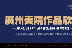 杭州将军画室丨广州美术学院基础部珍藏色彩静物作品欣赏