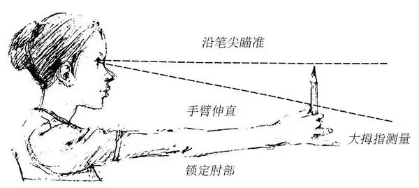 三庭五眼的比例测量方法