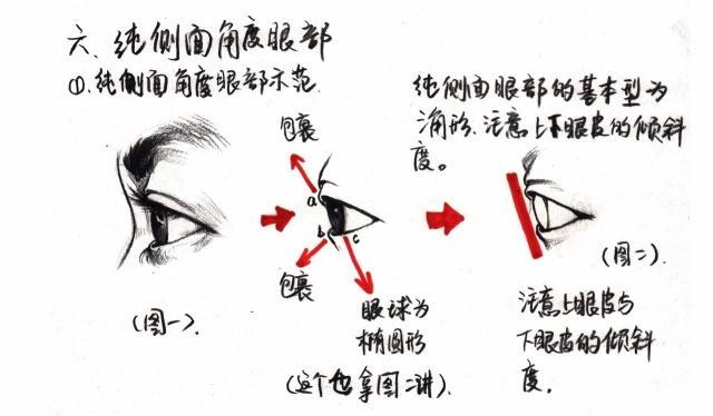 速写侧面眼睛画法