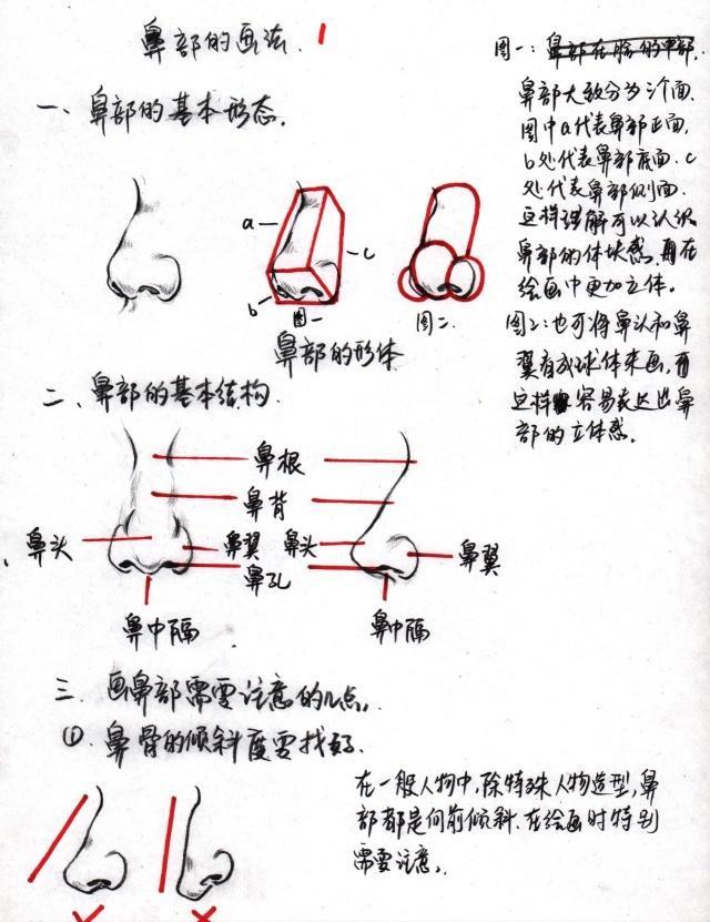 速写鼻子画法