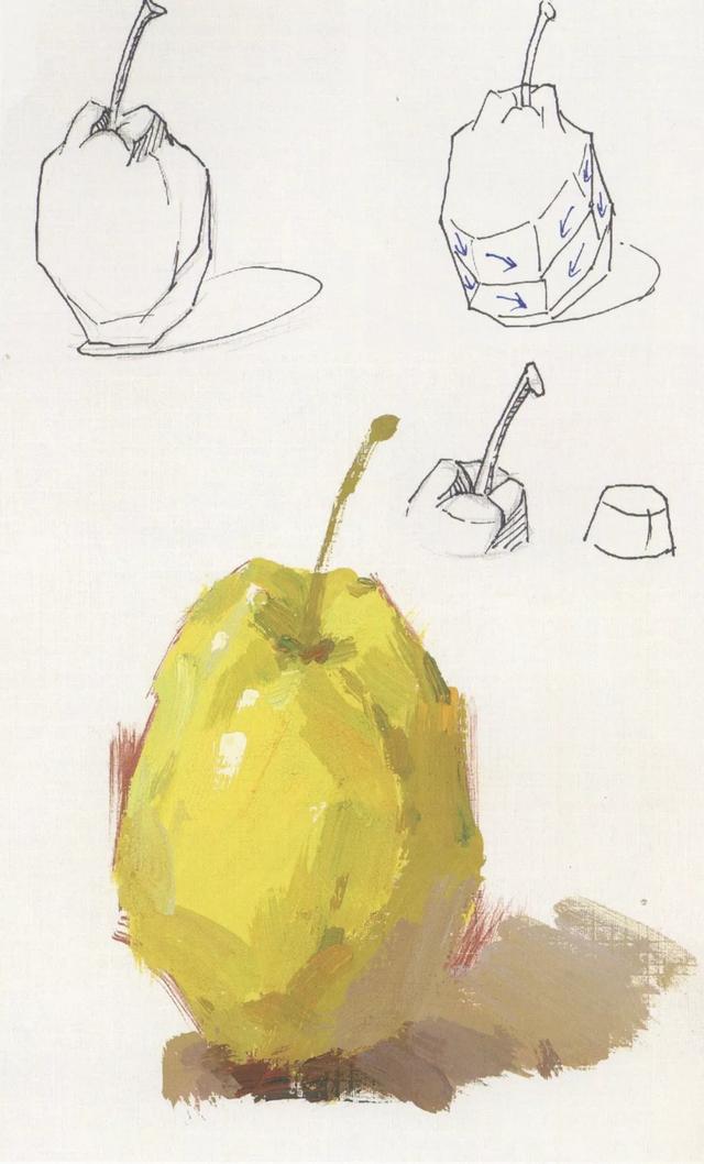 色彩水果梨子画法步骤分解4