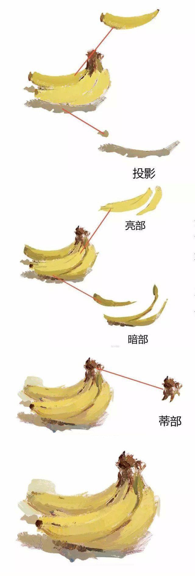 色彩香蕉讲解临摹图1