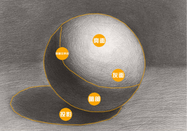 素描静物步骤之暗部怎么画会透气、有空间感和体积感？